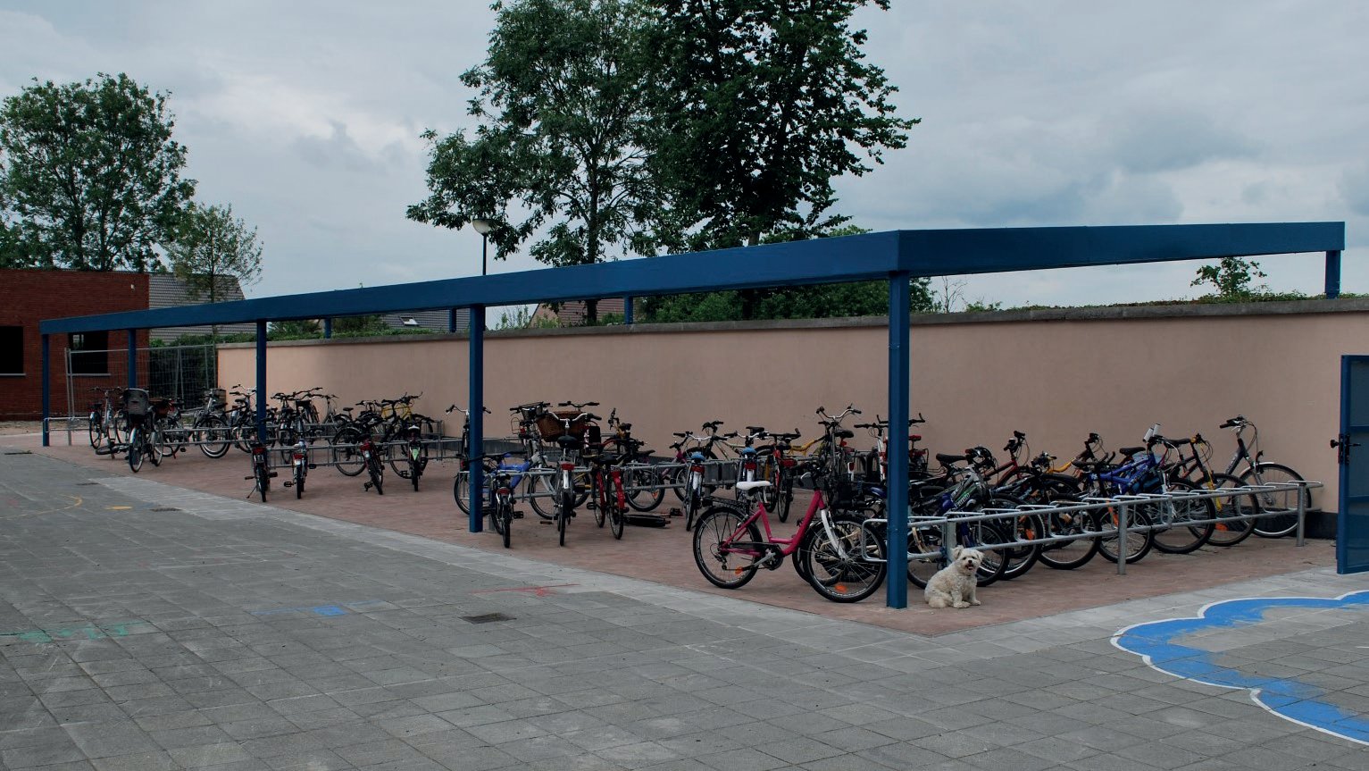 Overdekte fietsenstalling met plat polycarbonaatdak op een school – Coverit